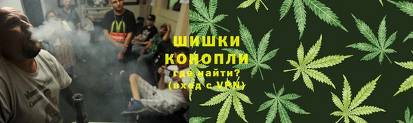 спиды Богородицк