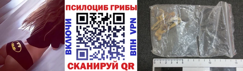 Галлюциногенные грибы Cubensis  Купить  Лукоянов 